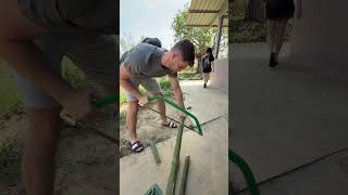 Dia 2 trabajando en un refugio de animales en Tailandia #tailandia #refugioanimal #osos