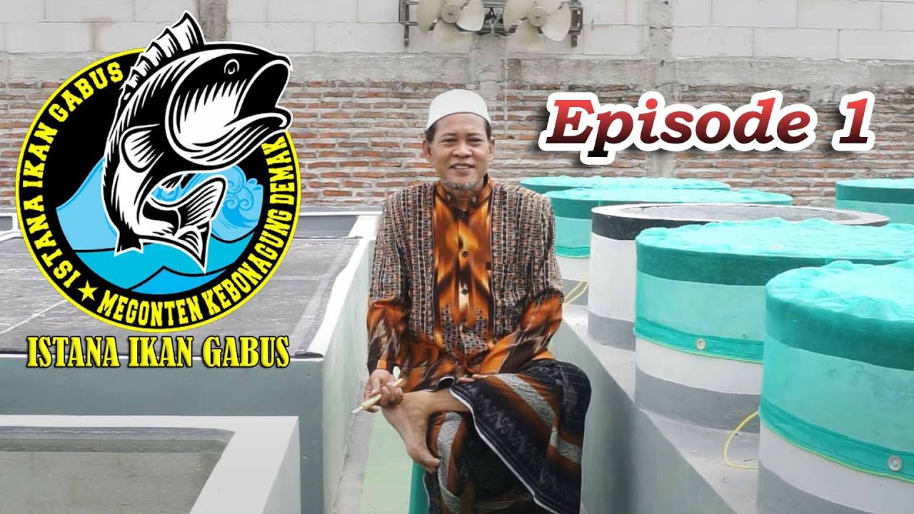 ISTANA IKAN GABUS Part #1 Bersama Owner H. SUUDI