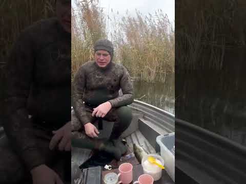 Перекус на подводной охоте #рыба #fishing #подводнаяохота #salvimar