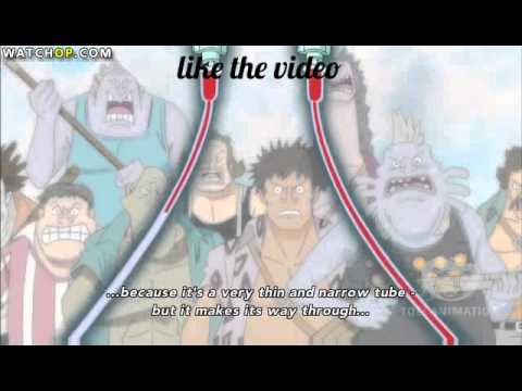 Best scene One piece 568