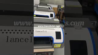 Easier operative rip software #dtfprinter #dtfprint #smallbusiness #dtf #printer
