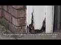 Exterior Brick Mold & Door Casing Repair...