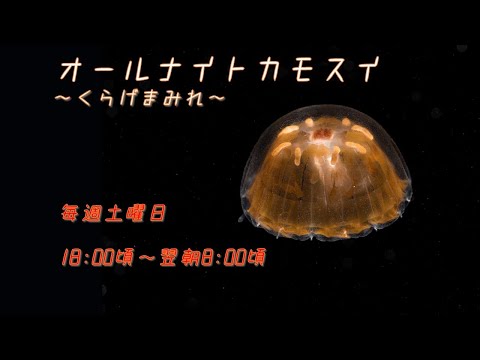 hqdefault.jpg?v=66e51c0d