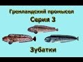 Русская Рыбалка 3.99 Гренландский промысел 3 - Зубатки