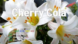 [은성 반주기] Cherry Cola - BE'O(비오) 노래 / MR / 가사 / 반주