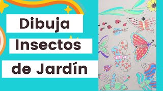 Dibuja y Colorea Insectos de JardínMariposas, escarabajos y mariquitas