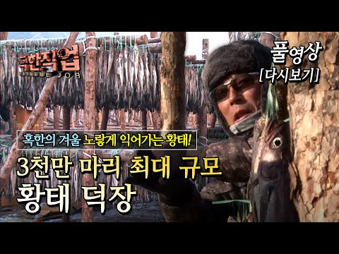 [연간 생산량 1,500톤! 최고의 황태를 만들기 위한 4개월의 고군분투] Full 극한직업 - 황태 덕장 1-2부 20140115