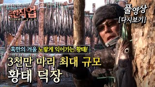 [연간 생산량 1,500톤! 최고의 황태를 만들기 위한 4개월의 고군분투] Full 극한직업 - 황태 덕장 1-2부 20140115