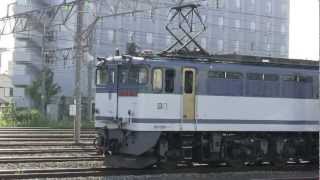 JR貨物 3083レ EF65 2096牽引 コンテナ貨物列車