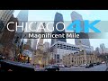 Downtown Chicago Holiday Shoppers on the Magnificent Mile