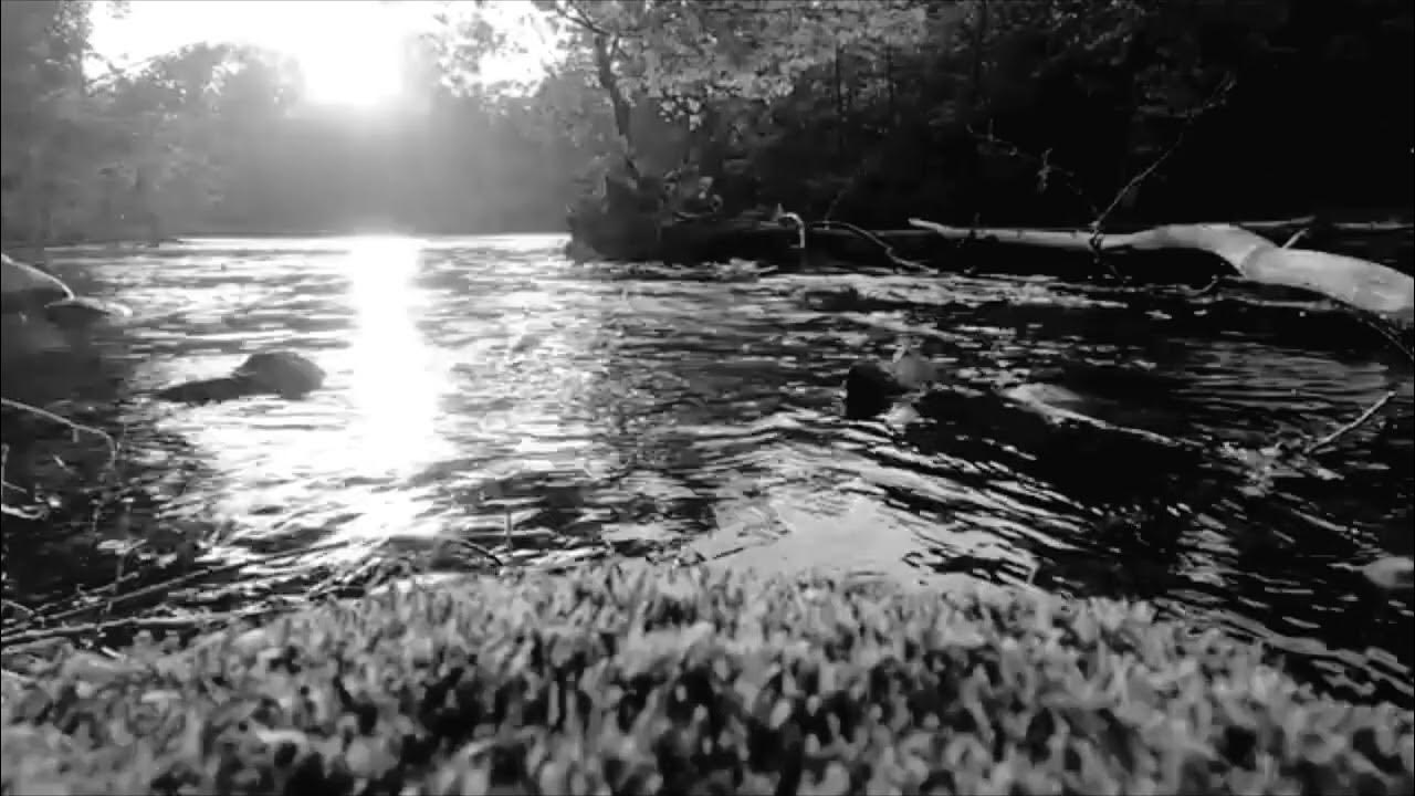 Tekst Piosenki Nirvana Something In The Way Nirvana Something In The Way - YouTube