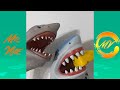 Shark Puppet Funny Instagram Videos - NEW @Shark Puppet  Vines 2021