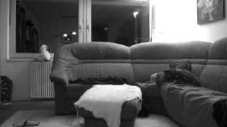 Download Lagu putek MP3