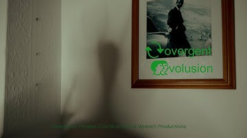 Convergent Evolusion