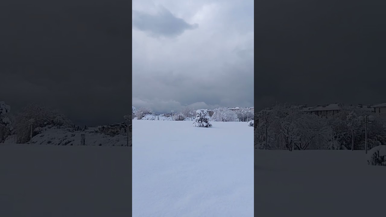 25 февраля 2023 г.