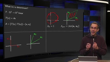 Determinants and linear transformations