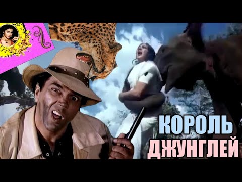 Король джунглей смотреть мультфильм онлайн