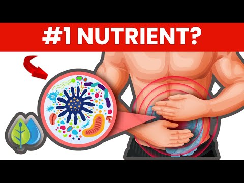 #1 Nutrient To Improve Gut Health | Best Foods To Improve Your Gut Health