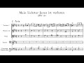J.S Bach - Cantata: Mein liebster Jesus ist verloren, BWV 154