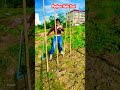 Smart Tool for Perfect Post Hole Digging in Seconds!#farming #agriculture