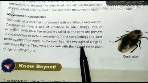 MLZS JHANSI CLASS 6 Science Chapter 8 Body Movement Lecture 1