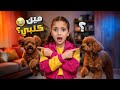 بدلنا كلب نايا بواحد غير نايا انهارت 