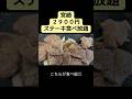 宮崎『2900円ステーキ食べ放題】企画が終了😭ステーキガスト #宮崎