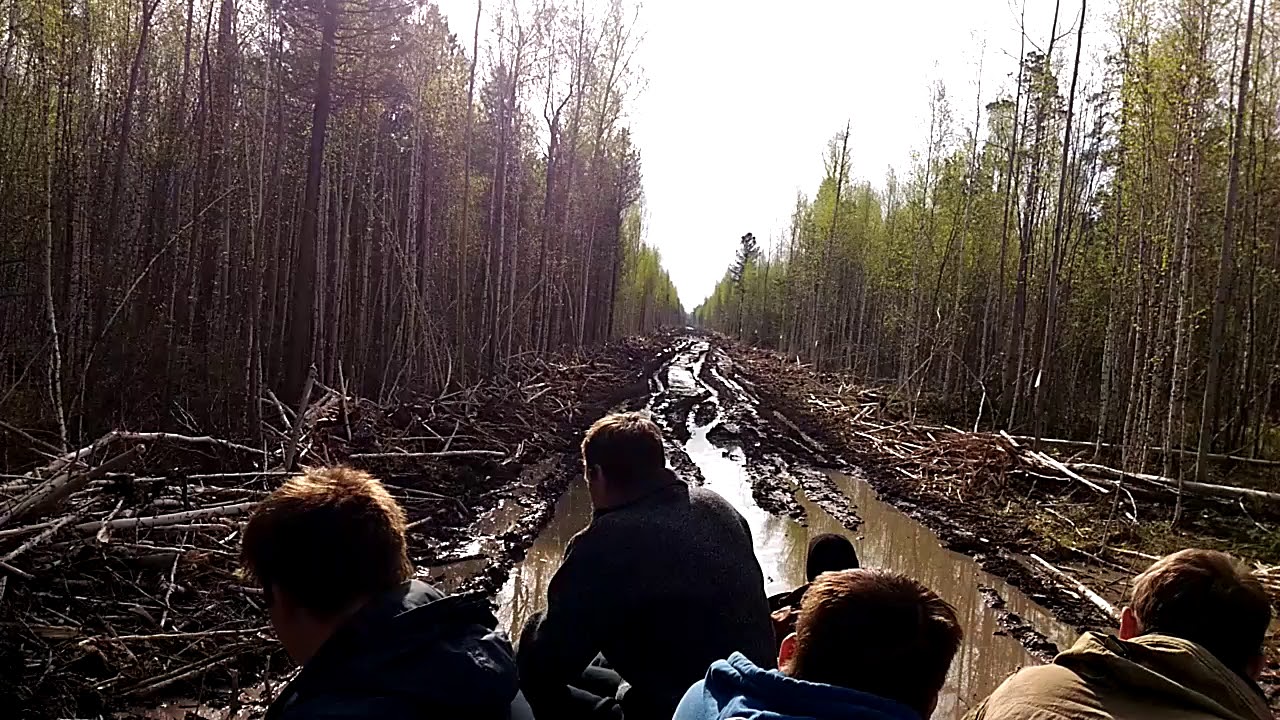 Тайга Томск Магазин Сайт