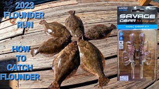 HOW TO CATCH FLOUNDER We caught 30+ The Flounder Run Hasnt even started! #fishing #saltwaterfishing