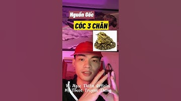 Nguồn Gốc Cóc 3 Chân | Vũ Ngọc Thiên Official #Shorts