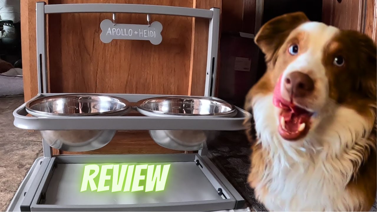 Is the Yeti Dog Bowl Worth the Price? Honest Review!