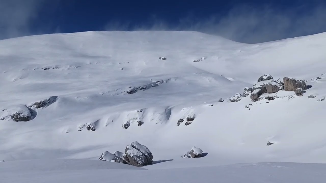 PADINA - VF. OMUL... 01.02.2026