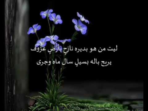 قناة أمسيه شاعريه شعرشعبي طالب البلال يوم ماتسمح ظروفك تعترضني ظروف