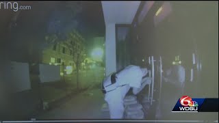 Celebrity Solomon Group Profile