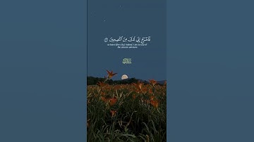 و جاء رجل من أقصى المدينة يسعى...#القارئ #بدر_التركي #قرآن #تلاوة_خاشعة