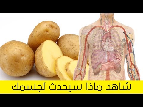 فيديو: ما تحب البطاطس