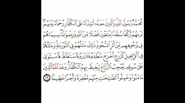 سورة الفتح 12 القسم الحادي عشر تكرار كيفي من .. محمد رسول الله .. إلى .. وأجرا عظيما  #قرآن #quran