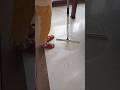 Part,244 I bought it originally to clean up the house #viralvideo #cleanout #youtubeshorts