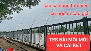 TES BÀI MỒI MỚI VÀ CÁI KẾT