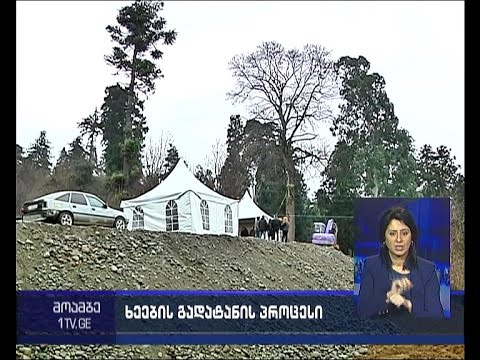 ციხისძირის სანერგე მეურნეობის ტერიტორიაზე „ზიმომ“ სამუშაოები შეაჩერა