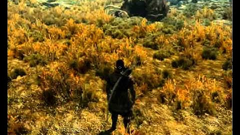 SkyTest Real Predators & Animals - better animal Behavior 15