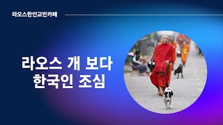 [라오스 사업, 생활, 여행 정보]  라오스 개보다 한국인 조심하라고? 무슨 ✖︎ 소리야!