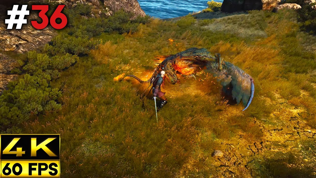 The Witcher 3 Wild Hunt Gameplay Walkthrough | Part 36 (4K 60FPS)