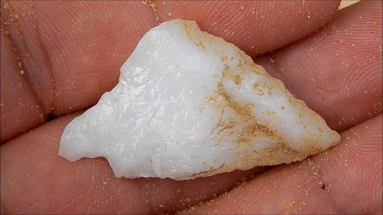 A 9000 Year Old Hardaway: Hunting Arrowheads In the Carolina Sandhills