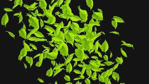 Particles Transitions | No Copyright | No Plugins Required | Easy To Use