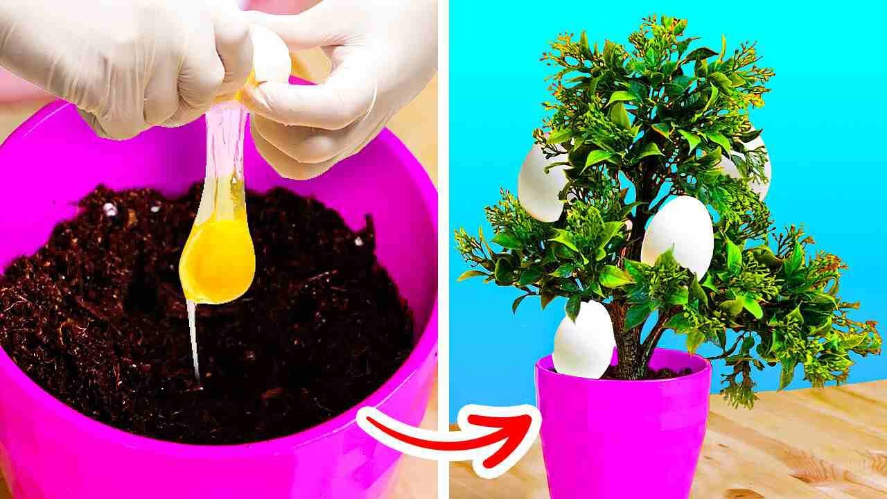 Unexpected Gardening Hacks to make your Plants grow