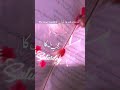 #viralvideo #urdunovel #umeraahmednovels #nimraahmednovel #viral #nimraahmednovel #novel #urdunovel