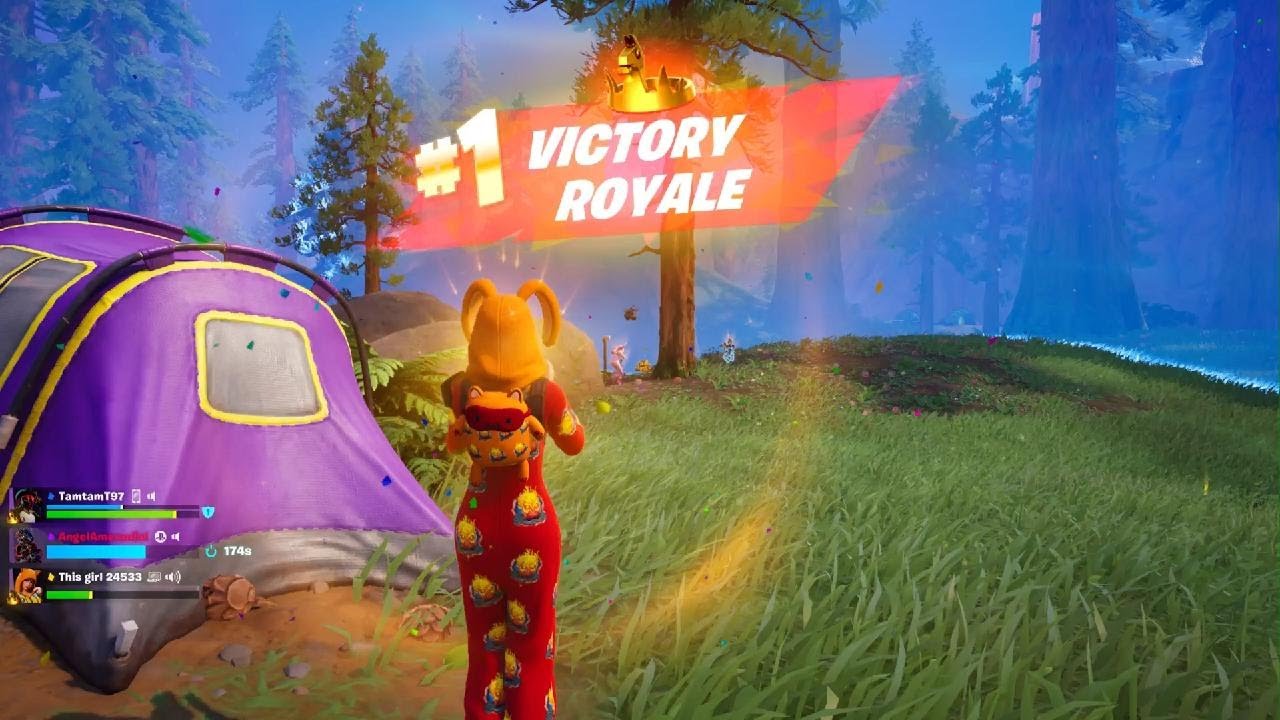 Fortnite Wonder Onesie skin gameplay win