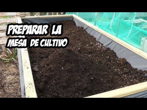 Como Preparar una Mesa de Cultivo | La Huerta de Ivan | #HuertoUrbano