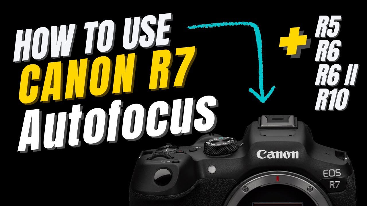 Canon R7 How To Use Autofocus System In The Field Wildlife Guide canon-r7-how-to-use-autofocus-system-in-the-field-wildlife-guide